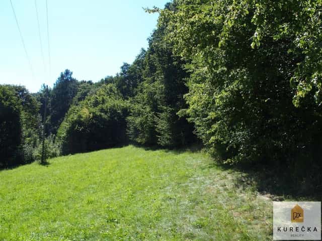 Prodej lesního pozemku o výměře 1997 m2, Dívčí Hrad, okr. Bruntál, Dívčí Hrad, okres Bruntál