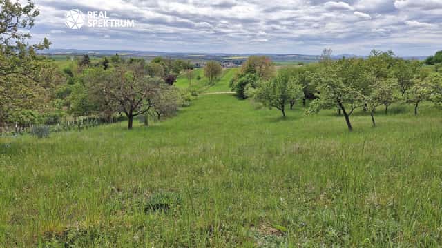 Prodej zahrady s vinohradem, 3.069 m, Sivice, Sivice, okres Brno-venkov
