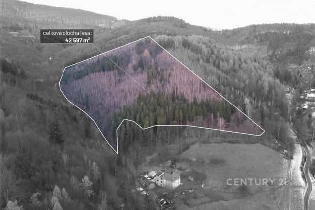 Prodej lesní parcely 42 597 m v Nýdku, Nýdek, okres Frýdek-Místek