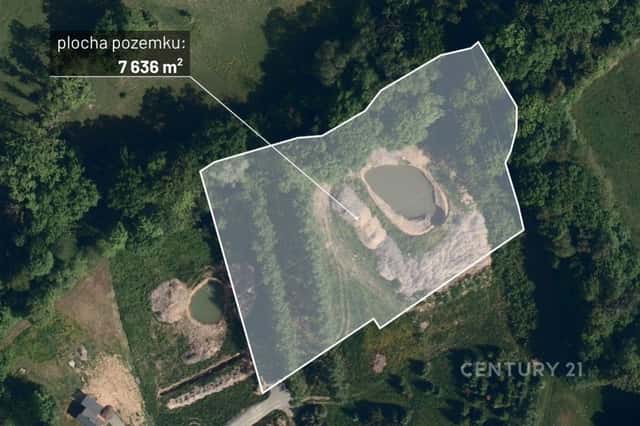 Prodej nestavebních pozemků s rybníkem, 7636 m, Třinec Nebory, Třinec, okres Frýdek-Místek