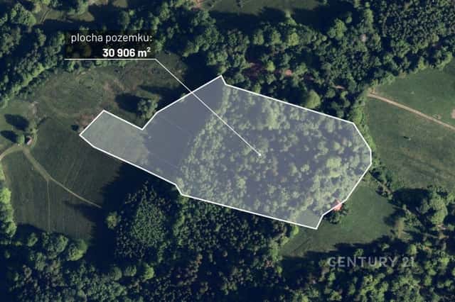 Prodej vzrostlého lesa o rozloze 30 906 m2 v obci Nýdek., Nýdek, okres Frýdek-Místek