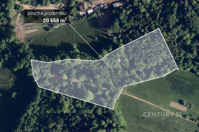 Prodej vzrostlého, udržovaného lesa, 20 558 m2, v obci Nýdek, Nýdek, okres Frýdek-Místek