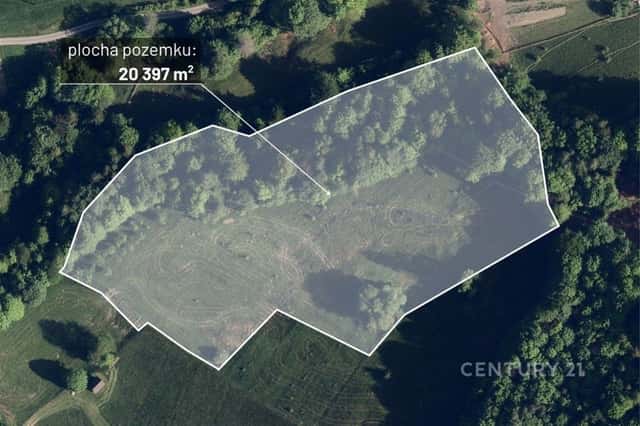 Prodej vzrostlého, udržovaného lesa, 20 397 m2, Nýdek, Nýdek, okres Frýdek-Místek