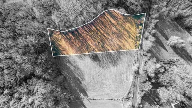 Prodej stavebního pozemku, 4332 m2, Vlčtejn, Vlčtejn, okres Plzeň-jih