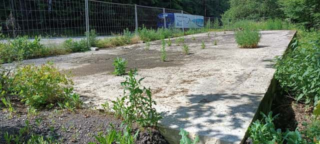 Prodej komerční nemovitosti 900 m Moravská Třebová, Gruna, okres Svitavy