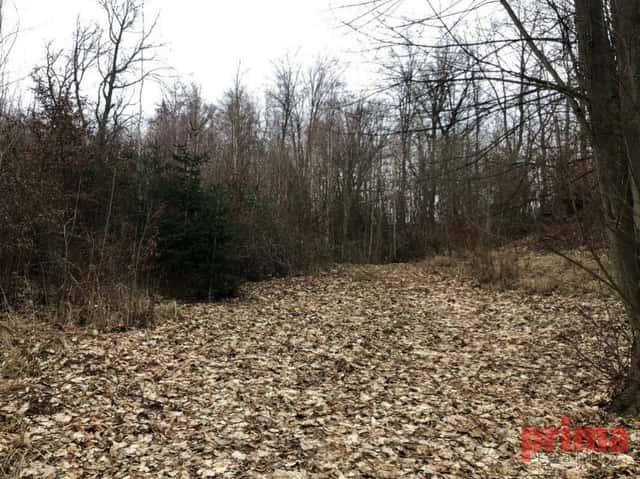 Prodej, soubor pozemků, Mirošovice, CP 6.037m2, Mirošovice, okres Praha-východ