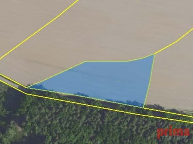Prodej, pole 5.355m2, Zásmuky, Zásmuky – Nesměň, okres Kolín