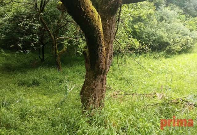 Prodej, stavební pozemek, 626m2, Vyšní Lhoty, Vyšní Lhoty, okres Frýdek-Místek