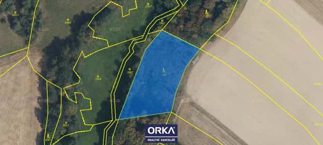 Prodej, Lesy, 8854m2 - Otinoves, Otinoves, okres Prostějov