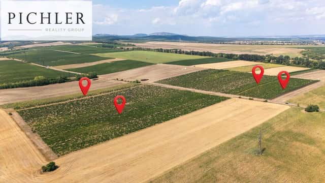 Prodej vinice, 24 332 m, Sedlec u Mikulova, Sedlec – Sedlec u Mikulova, okres Břeclav