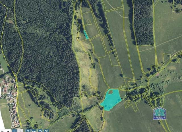 Louka v kat. území Česká Ves u Lesné, okr. Tachov, Lesná – Stará Knížecí Huť, okres Tachov