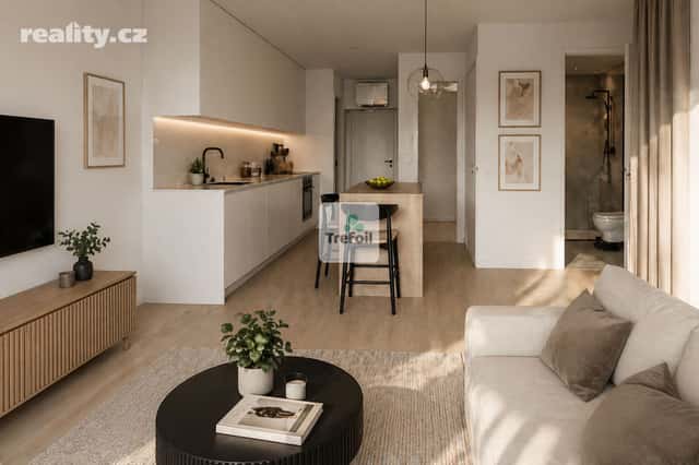 Prodej byt 1+kk, 32 m², cihla, družstevní, Praha 10 – Strašnice