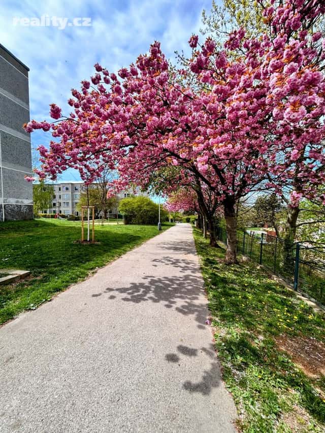 Prodej byt 4+1, 99 m², panel, osobní, Pertoldova, Praha 4 – Modřany