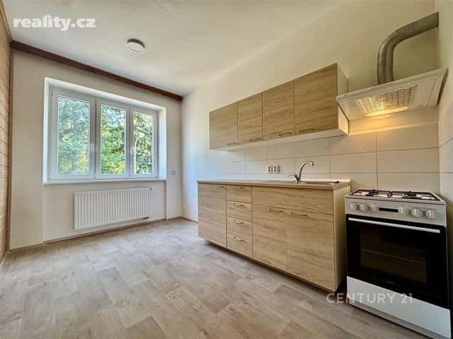 Pronájem byt 1+1, 40 m², cihla, osobní, Viniční, Židenice, okres Brno-město
