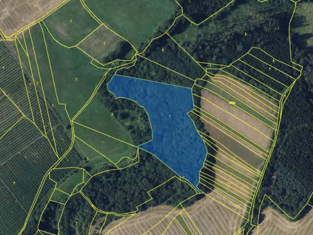 Prodej lesa 20 988 m2 Rohozec, Rohozec, okres Brno-venkov