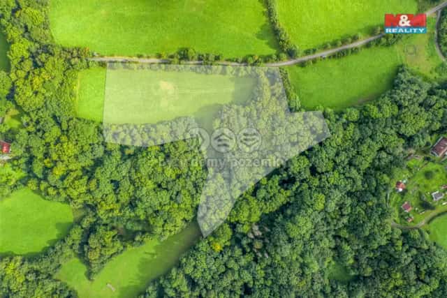 Prodej pastviny s lesním pozemkem 22.174 m2 v Homoli u Panny, Homole u Panny, okres Ústí nad Labem