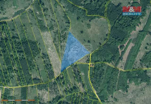 Prodej lesa, 29198 m2, Jetětice, Jetětice, okres Písek