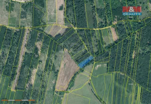 Prodej lesa, 3625 m2, Jetětice, Jetětice, okres Písek