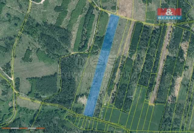 Prodej lesa, 33230 m2, Jetětice, Jetětice, okres Písek