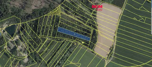 Prodej lesa, 7177 m2, Mysletice, Mysletice, okres Jihlava
