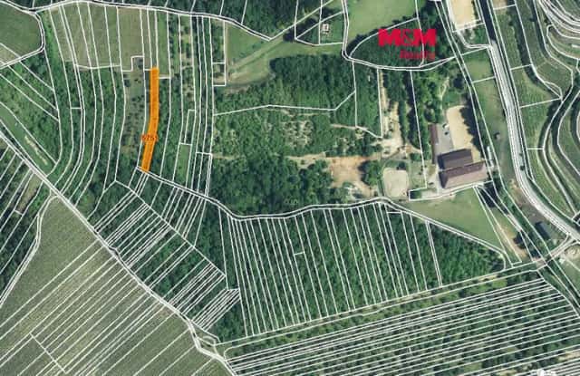 Prodej ovocného sadu, 1211 m2, Němčičky u Hustopečí, Němčičky
