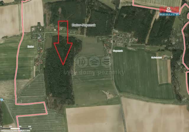 Prodej lesa, 6005 m2, Dražíč, Dražíč, okres České Budějovice