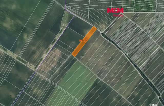 Prodej pole, 612 m2, Hrušky, Hrušky, okres Břeclav