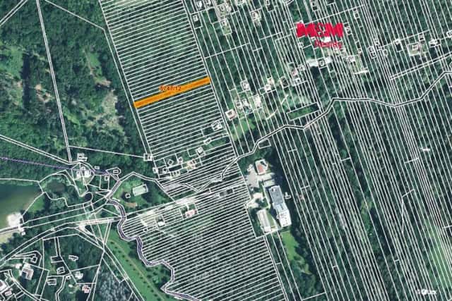 Prodej lesa, 953 m2, Kněždub, Kněždub, okres Hodonín