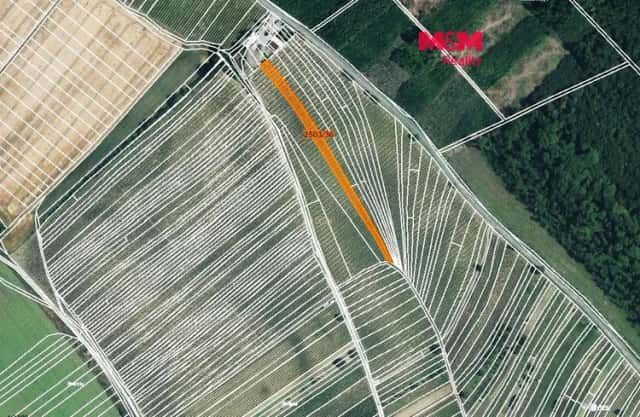 Prodej vinice, 2497 m2, Dolní Bojanovice, Dolní Bojanovice, okres Hodonín