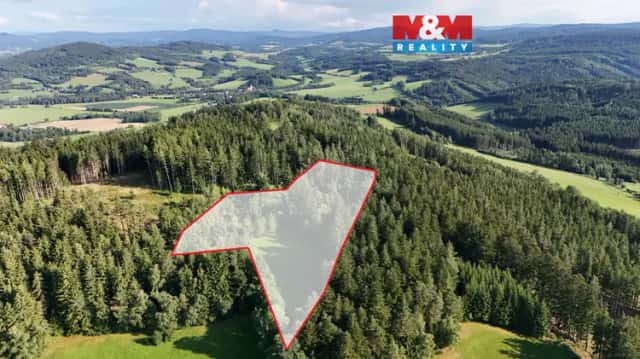 Prodej lesa, 15707 m2, Petrovice u Sušice, Petrovice u Sušice, okres Klatovy