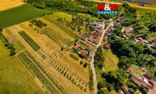 Prodej pozemku k bydlení, 7835 m2, Borkovany, Borkovany, okres Břeclav
