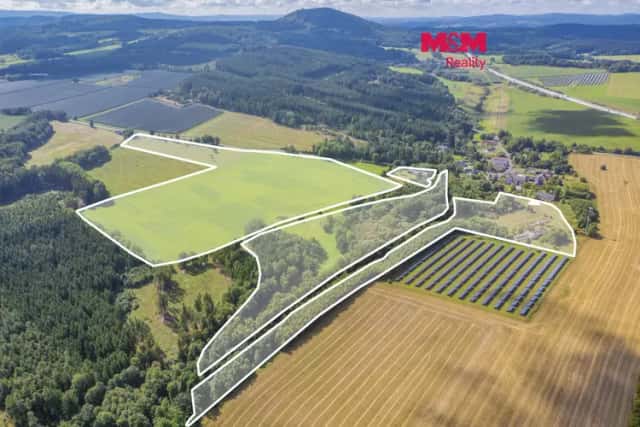 Prodej komerčního pozemku, 238031 m2, Přimda, Přimda, okres Tachov
