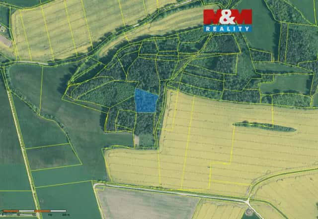 Prodej lesa, 4545 m2, Třešovice, Třešovice, okres Strakonice
