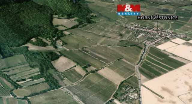 Pronájem vinice, 4000 m2, Horní Věstonice, Horní Věstonice, okres Břeclav
