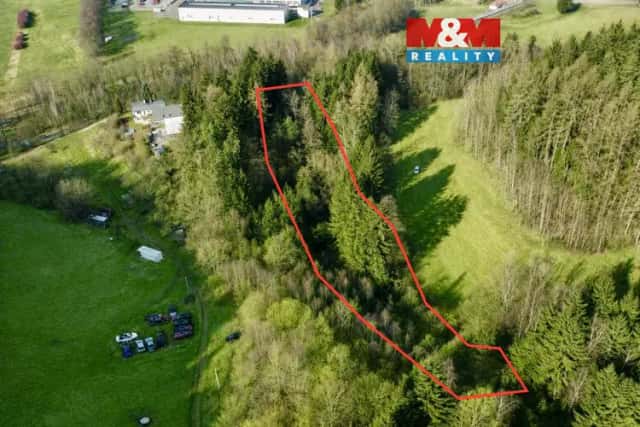 Prodej lesa, 4113 m2, Dolní Dobrouč, Lanšperk, Dolní Dobrouč, okres Ústí nad Orlicí