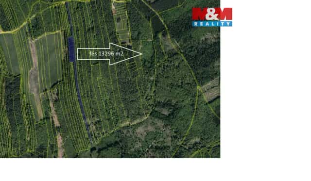 Prodej lesa, 13296 m2, Luhačovice, Luhačovice, okres Zlín