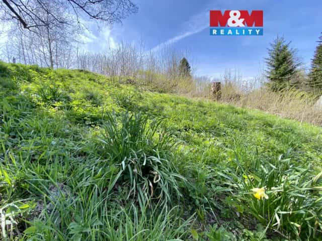 Prodej pozemku, 1153 m2, Bartošovice v Orlických horách, Bartošovice v Orlických horách, okres Rychnov nad Kněžnou