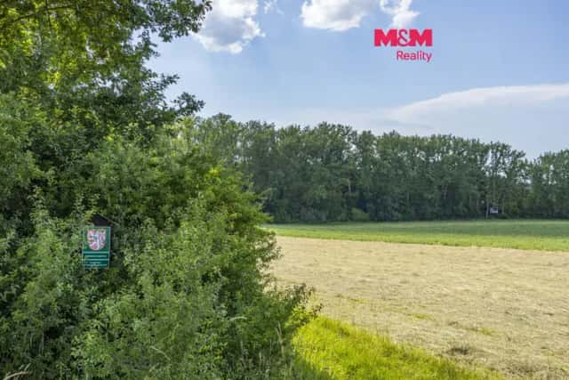 Prodej, les 4223 m2, pozemek 7748 m2, Bohuslavice n. Metují, Bohuslavice, okres Náchod