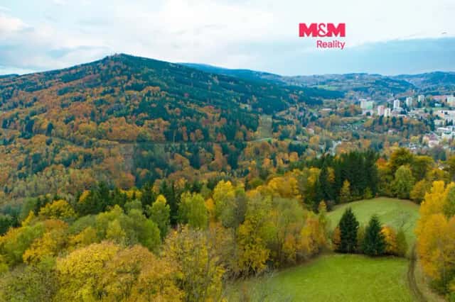 Prodej louky, 1589 m2, Tanvald, Tanvald, okres Jablonec nad Nisou