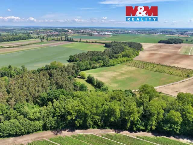 Prodej lesa, 5227 m2, Lysá nad Labem, Lysá nad Labem, okres Nymburk