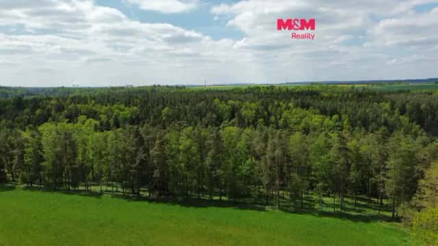 Prodej lesa, 79000 m2, Černýšovice, Černýšovice, okres Tábor