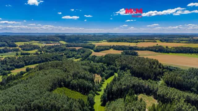 Prodej lesa, 57919 m2, Bílá, Bílá, okres Liberec