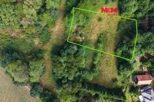 Prodej louky v Dolní Březince, Světlá nad Sázavou, okres Havlíčkův Brod