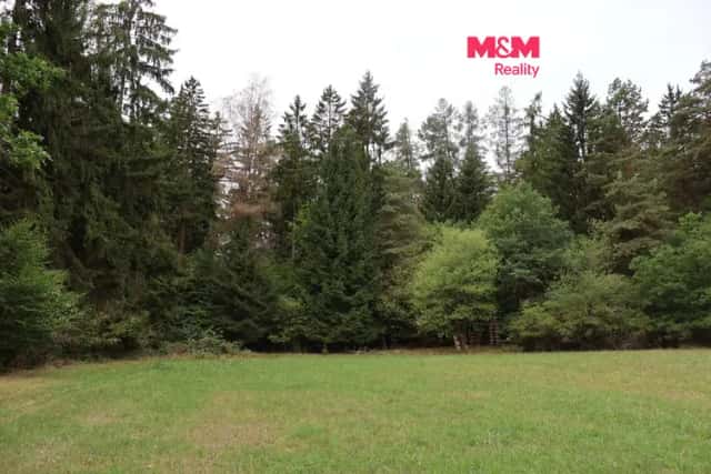 Prodej lesa, 1762 m2, Chanovice, Chanovice, okres Klatovy