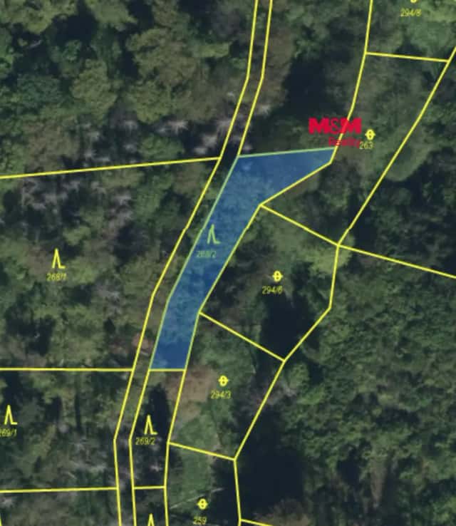 Prodej lesa v Řepníkách, Řepníky, okres Ústí nad Orlicí