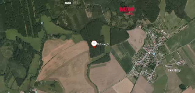 Prodej lesa, 947 m2, Roštění, Roštění, okres Kroměříž