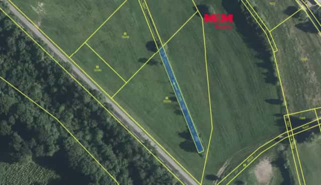 Prodej louky, 5324 m2, Domousnice, Domousnice, okres Mladá Boleslav