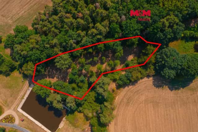 Prodej zahrady, 2248 m2, Velký Bor, Velký Bor, okres Klatovy