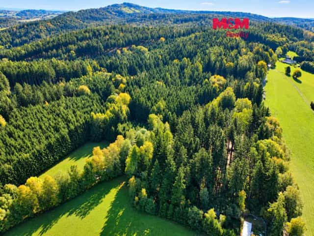 Prodej lesa, louky, 15881 m2, Bohdašín, Červený Kostelec, okres Náchod