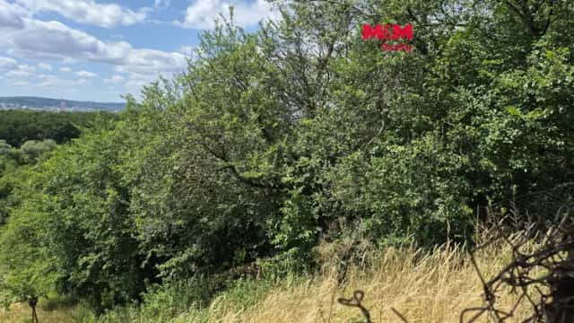Prodej zahrady, 1358 m2, Brno, ul. Vinohradská, Vinohradská, Brno, okres Brno-město